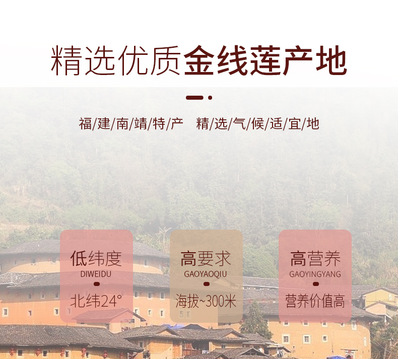 正宗林下<a href=http://m.feczz.cn/ target='_blank'>金線蓮</a>干品